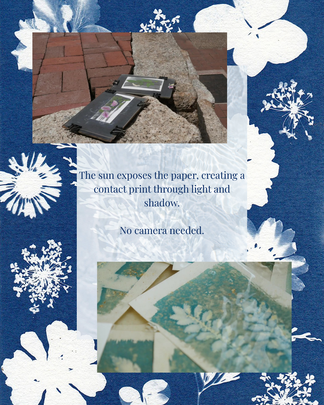 Cyanotypes in the Garden: Columbus Ohio Art Workshop
