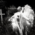 Ethereal angelic figure in light and shadow by Millie Franz, archival photographic print, available at Ilkaa's Fine Art Gallery.
