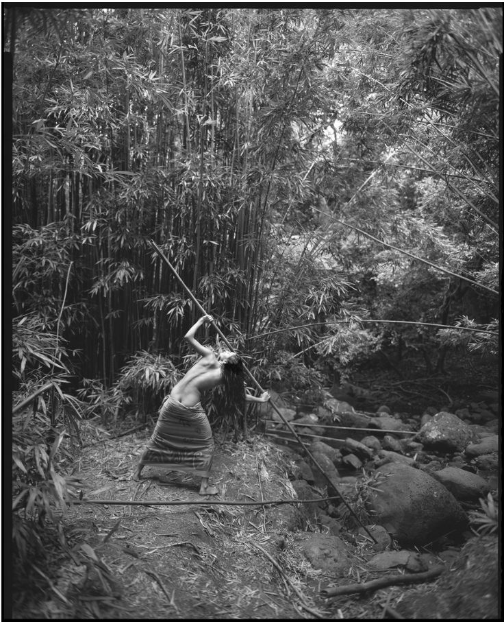 Bamboo, Old Pali
