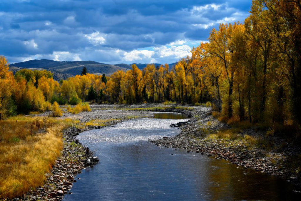 Photograph of Encampment River winding through Wyoming wilderness by Millie Franz, archival photographic print, available at Ilkaa's Fine Art Gallery.