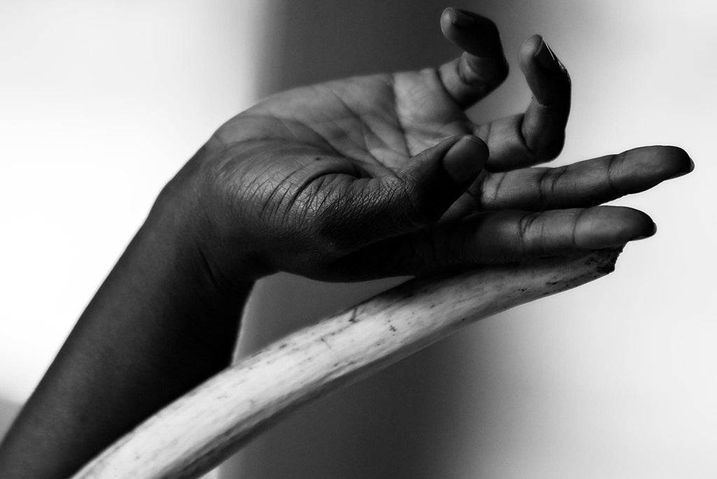 Close-up image of a human hand intertwined with bone by Millie Franz, archival photographic print, available at Ilkaa's Fine Art Gallery.