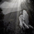 Luminous angelic figures glowing softly in ethereal light by Millie Franz, archival photographic print, available at Ilkaa's Fine Art Gallery.