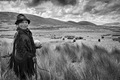 Little Shepherd