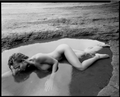 Tide Pool
