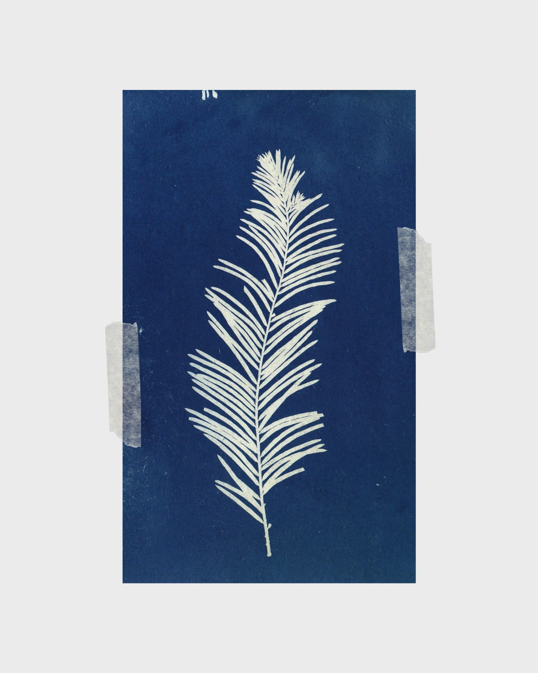 Cyanotypes in the Garden: Columbus Ohio Art Workshop